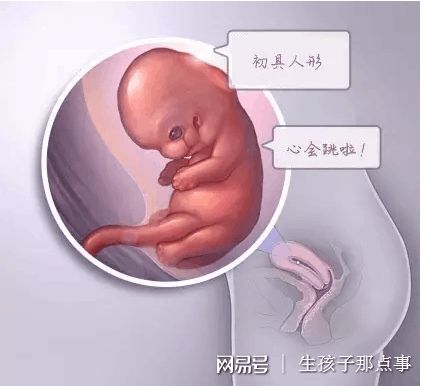 遗传咨询科